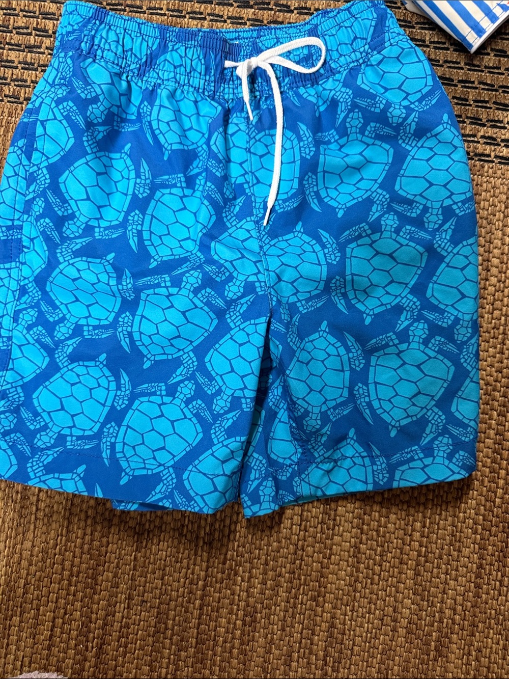 Crewcuts Turquoise & Navy Turtle-Pattern Swim Shorts